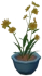 花卉盆栽-「甜蜜的伪装」 Icon