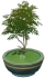 식물용 화분-「푸른 소나무 위에서」 Icon