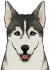 Nordischer Hund Icon