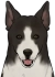 巡林犬 Icon