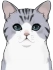 Полярная кошка Icon
