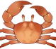 Sun Crab Icon