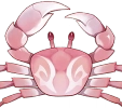 Pale Red Crab