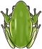 青蛙 Icon