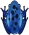 Rana blu