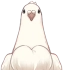 Pombo Branco Icon
