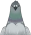 회색깃 비둘기