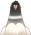 Black King Pigeon