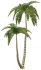 銀鉤のヤシの木 Icon