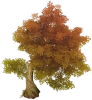 Árvore Nodosa de Folhas Douradas