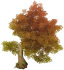 Árbol nudoso de hojas doradas Icon