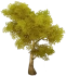 Gelber Schwertknochenbaum Icon