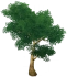 Green Irontrunk Tree Icon