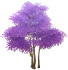 「담홍빛 꽃」 Icon