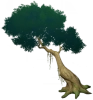 Наклонённое бродячее дерево