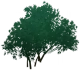«Зелёный фонтан» Icon