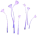「紫苑の嘆息」