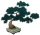 盆栽-「翠色の縮図」 Icon
