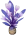 Hibiscus étoilé « Soie violette »