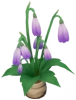 Pearbell - ดอกบัวริมสระ