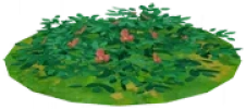 Smaragdwiese