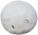 Testa del pupazzo di neve 