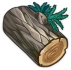 삼나무 Icon
