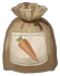 Carrot Seed Icon