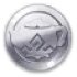 Realm Currency Icon
