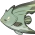 Yeşil Kırlangıç Balığı