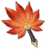 Red Feather Fan Icon