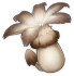 慕风蘑菇 Icon