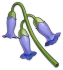 Violetgrass Icon