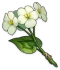 Цветок цинсинь Icon