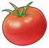 番茄 Icon