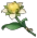 Fleur sucrante