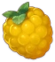 樹莓 Icon