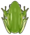 Kurbağa Icon