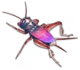蟋蟀（紫）