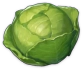 A Plump Cabbage Icon