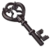 Чёрный ключ Icon