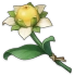 Fleur sucrante fraîche Icon