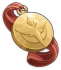 「南十字武闘会」の優勝メダル Icon