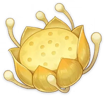 Nilotpala Lotus