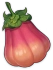 Zaytun Peach Icon