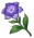Сумерская роза