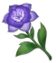Сумерская роза Icon
