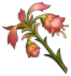 애도의 꽃 Icon