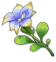 장마 연꽃 Icon
