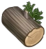 Cypress Wood Icon